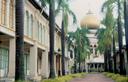 Most interesting to us was the diversity of neighbourhoods and cultures living in this compact city.  Here, a view down Arab Street with large mosque at its end.